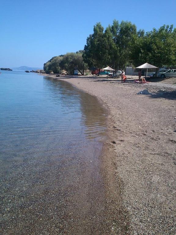 Evoikos Beach & Resort Livanátai Eksteriør billede