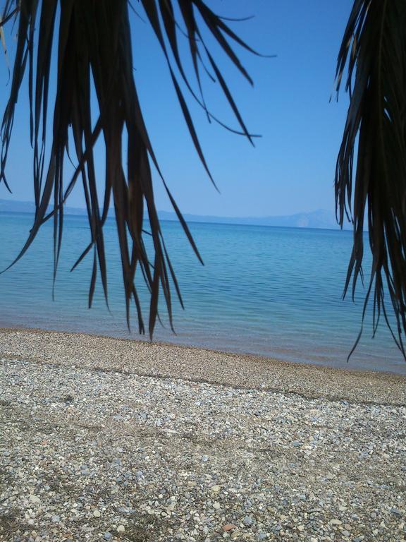 Evoikos Beach & Resort Livanátai Eksteriør billede